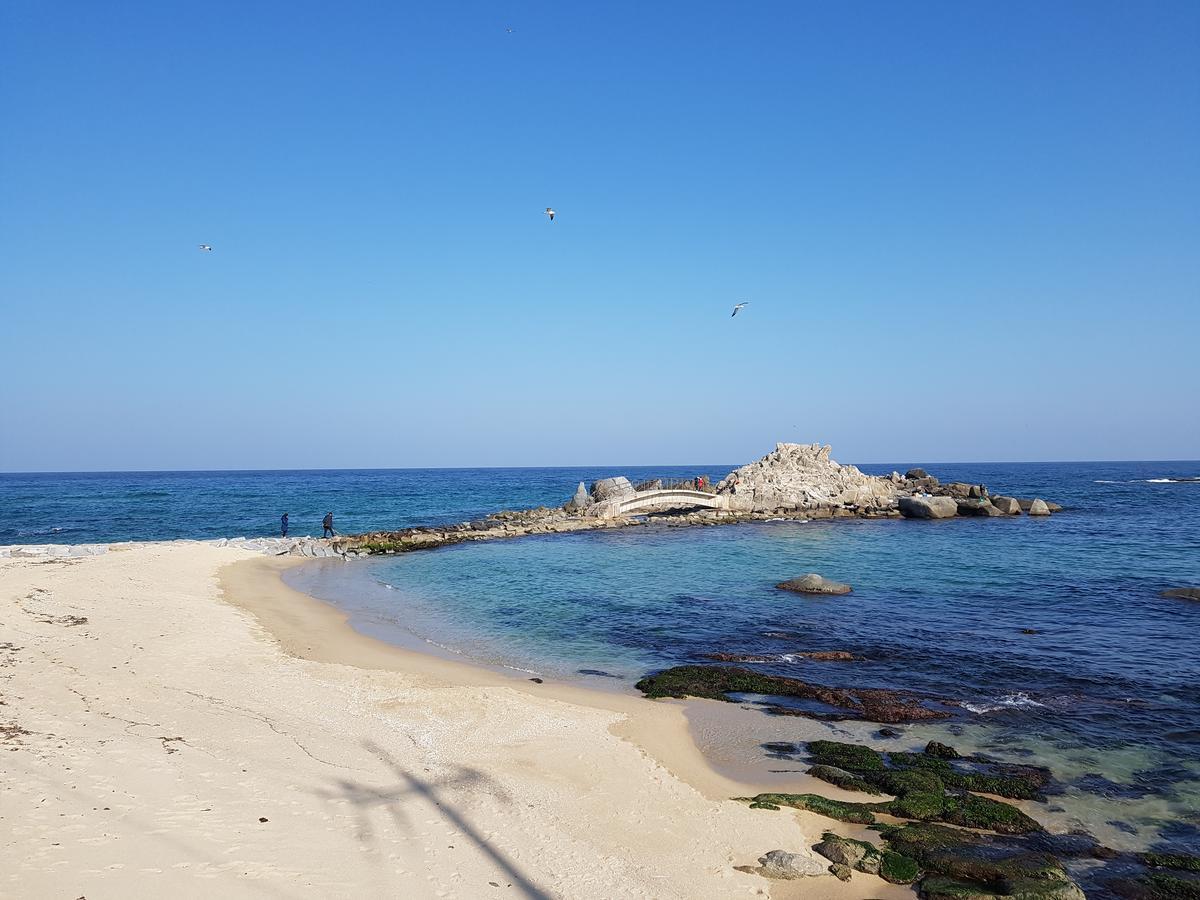 Hannoonebada Pension Gangneung Ngoại thất bức ảnh